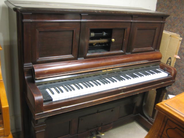 brinsmeadplayer_001.JPG brinsmeadplayer_001.JPG