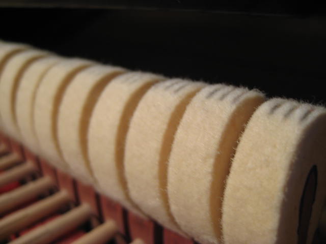 bushlane62890_012.JPG bushlane62890_012.JPG