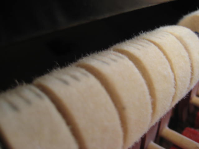 bushlane62890_013.JPG bushlane62890_013.JPG