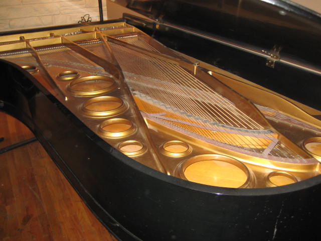 bushlane62890_019.JPG bushlane62890_019.JPG