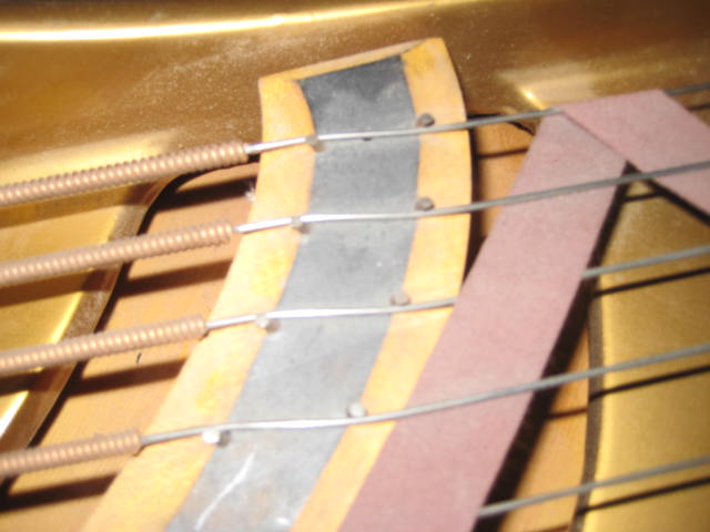 bushlane62890_021.JPG bushlane62890_021.JPG