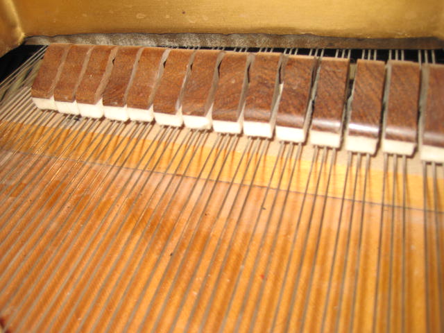 bushlane62890_023.JPG