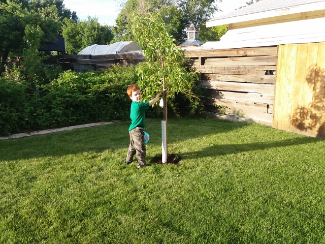20180528_195755_640x480.jpg 20180528_195755_640x480.jpg
