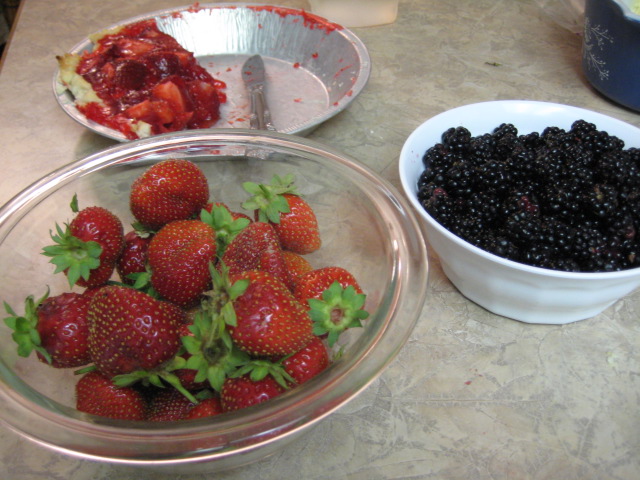 IMG_5155.JPG IMG_5155.JPG