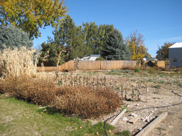 garden102509_001.JPG