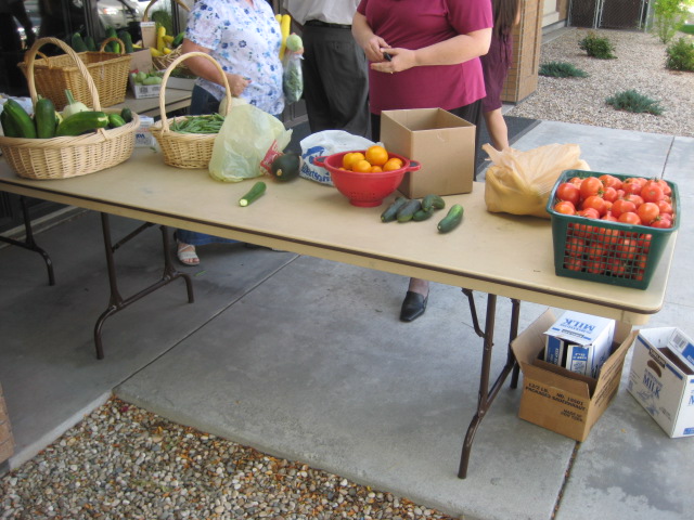 gardenshare002.JPG