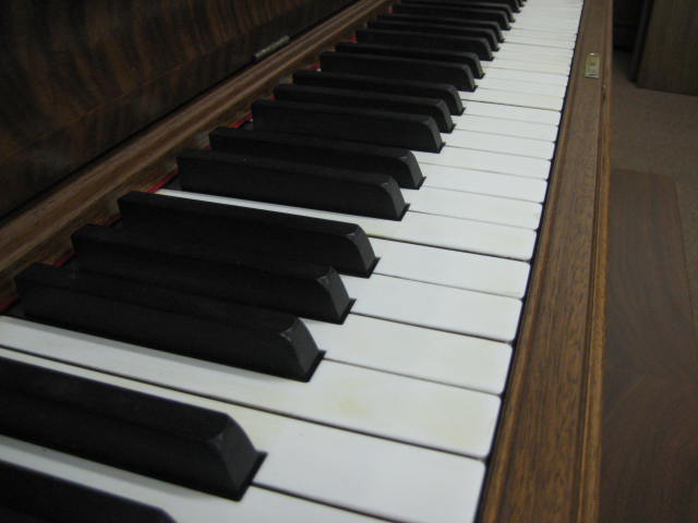 ivers33487_25.JPG ivers33487_25.JPG