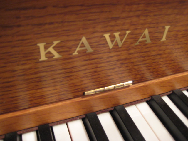 kawaiA1001686_002.JPG