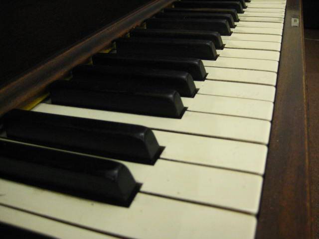 kimball329839_004.jpg