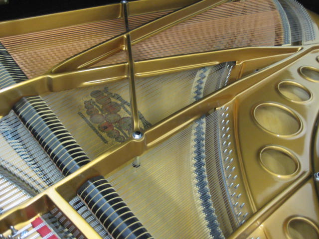 kimballr14952a_008.JPG