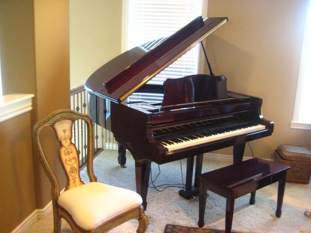 kurzweil150plus_001.JPG