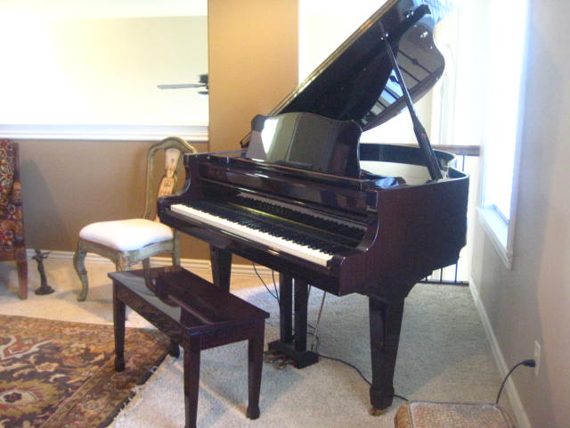kurzweil150plus_002.JPG